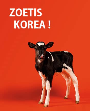 Zoetis Korea, Inc. Local