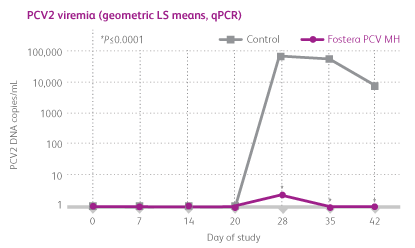 Single Dose Chart