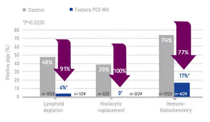 pcv 2 tissue analyses