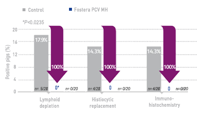 pcv 2 tissue analyses